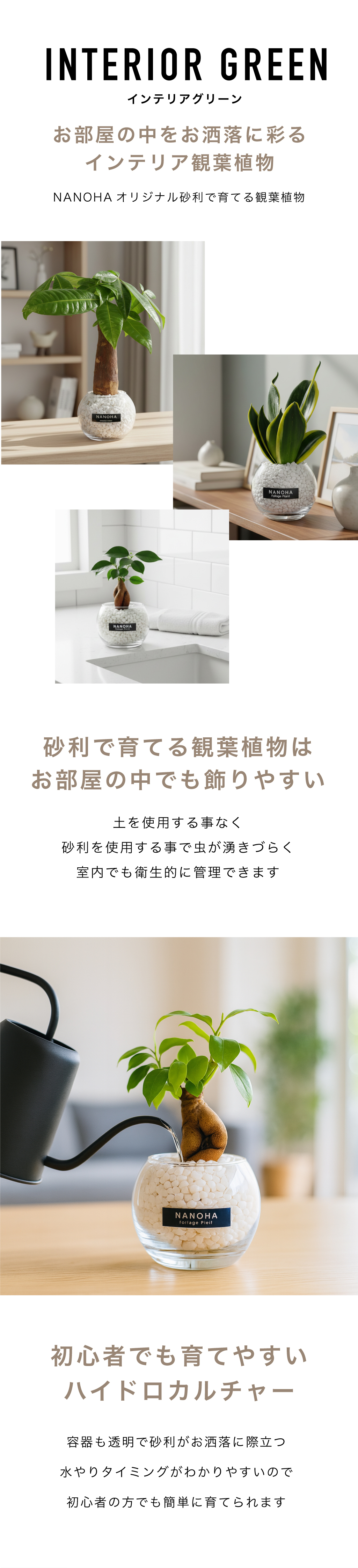 砂利で育てる観葉植物
