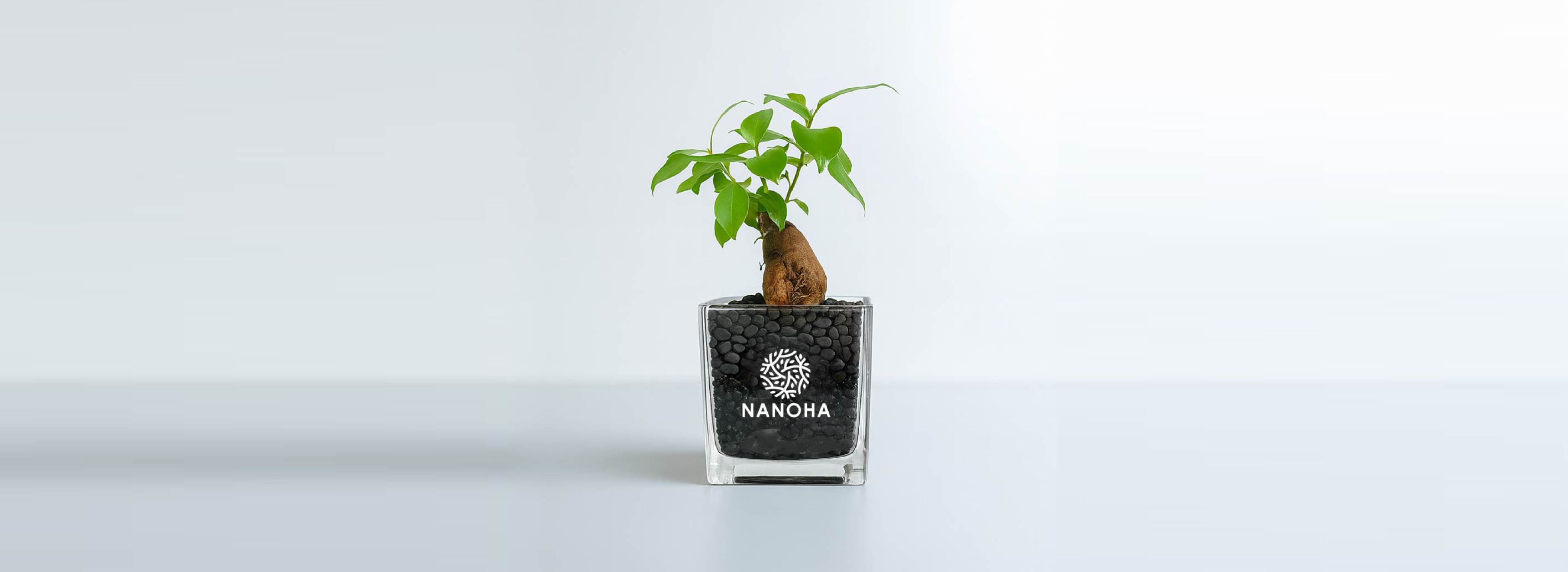 NANOHA トップイメージ（PC版）