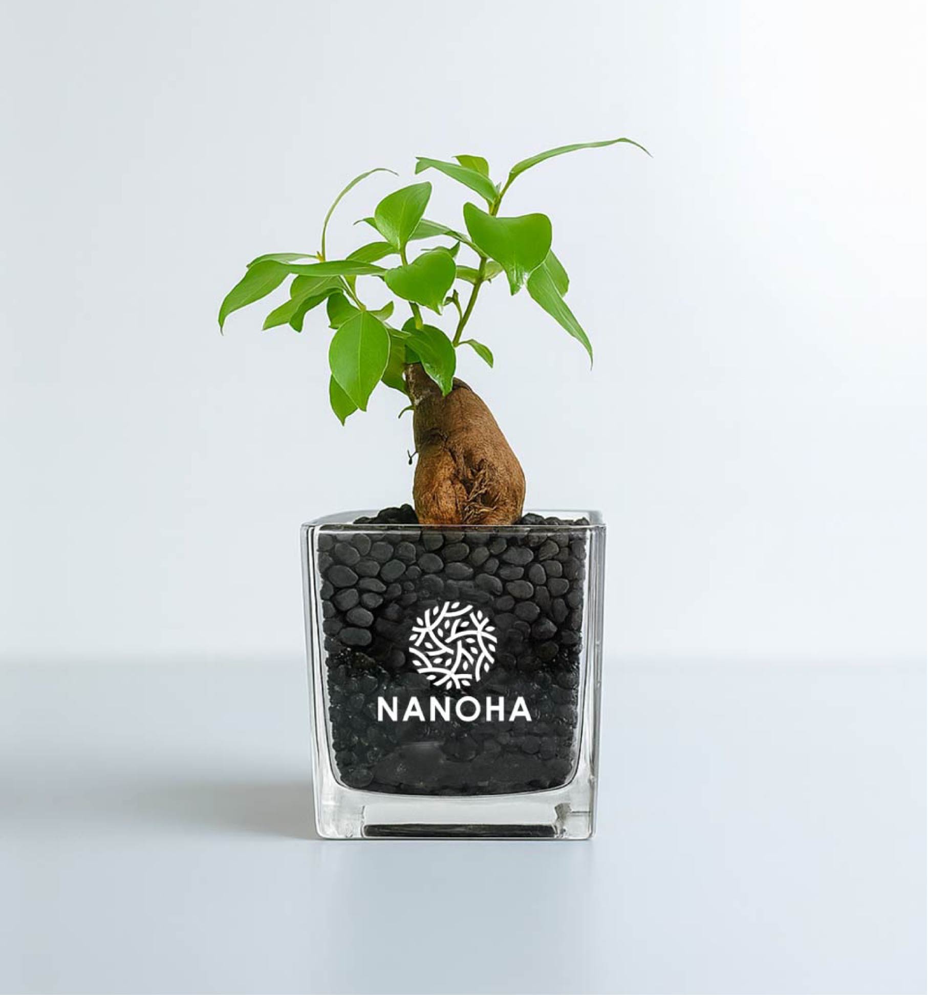 NANOHA トップイメージ（スマホ版）