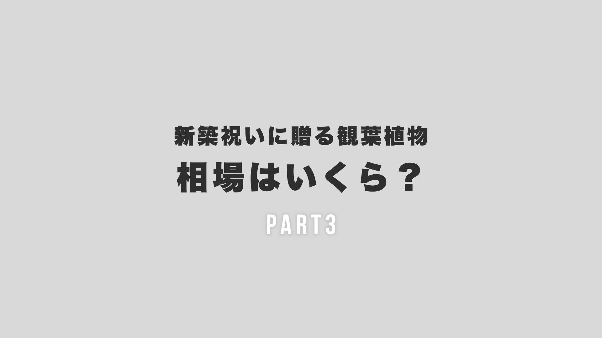 新築祝いに贈る観葉植物の相場はいくら？