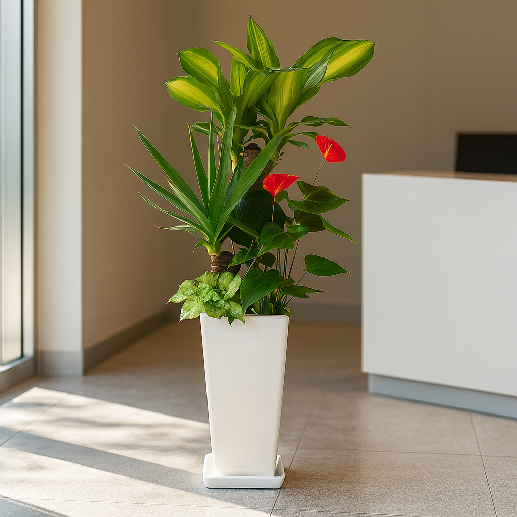 観葉植物の寄せ植え７号サイズ3