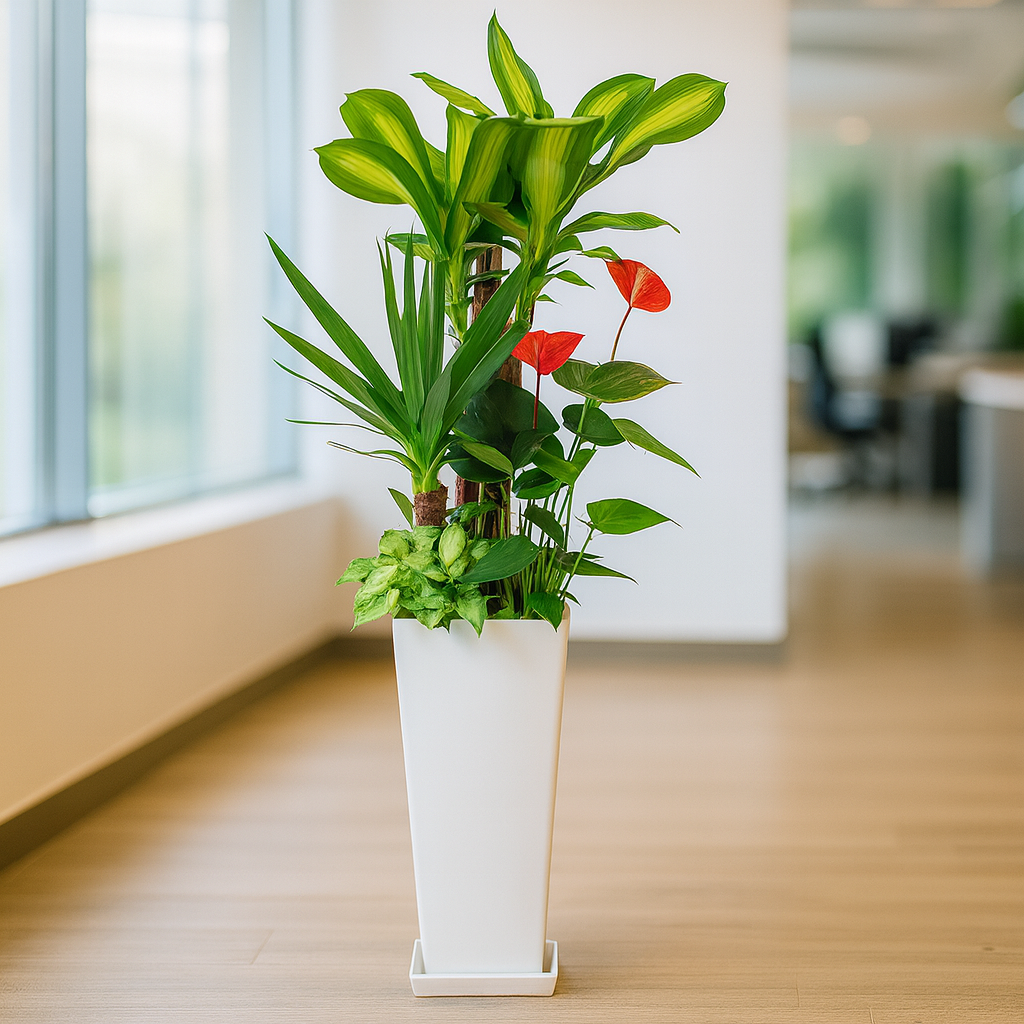 観葉植物の寄せ植え７号サイズ4