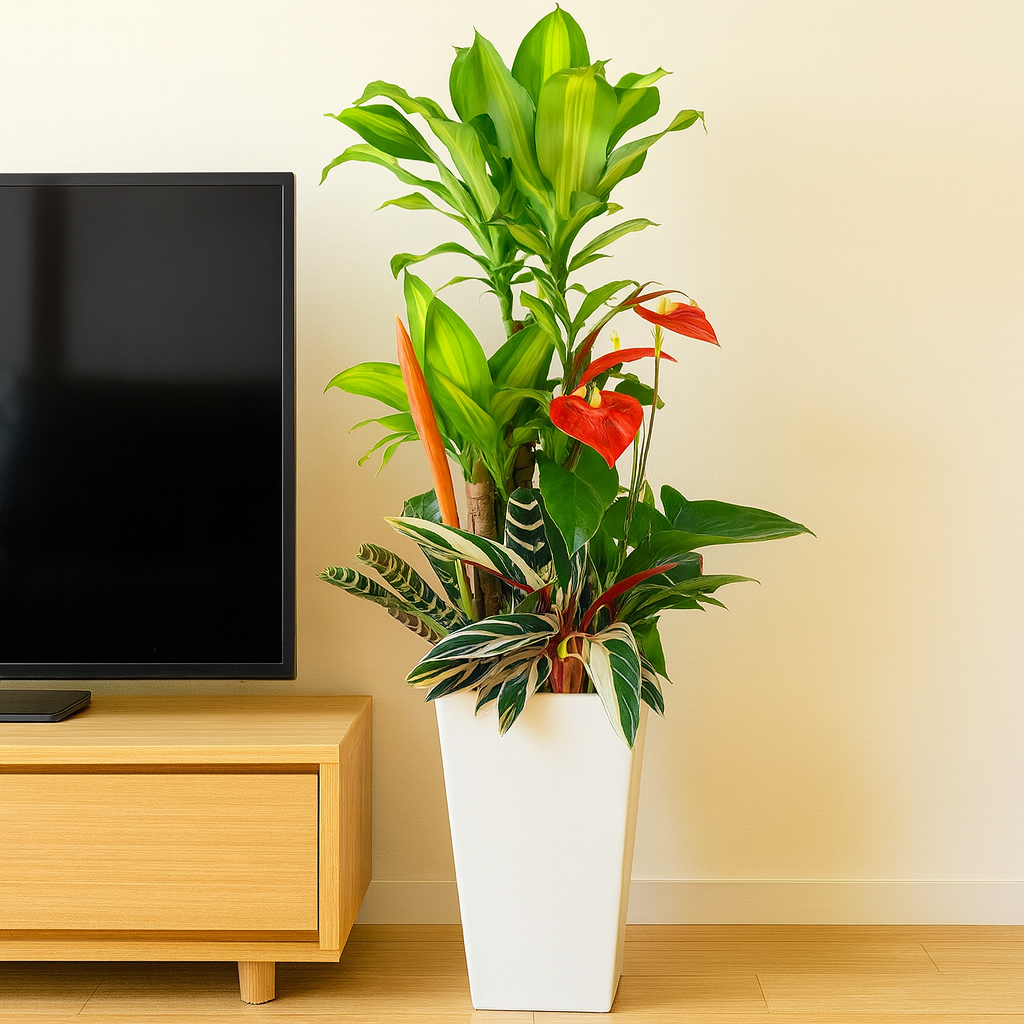 観葉植物の寄せ植え10号サイズ2