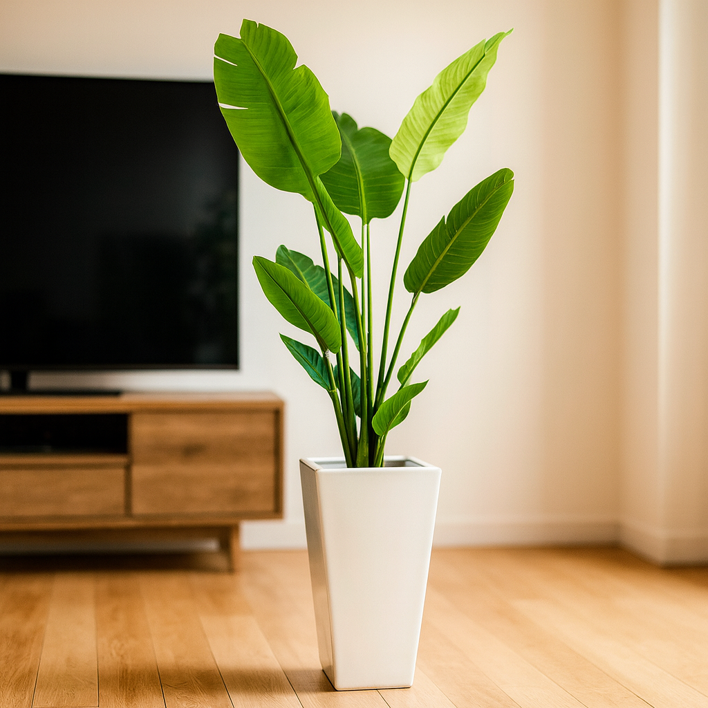 ストレリチア白陶器2