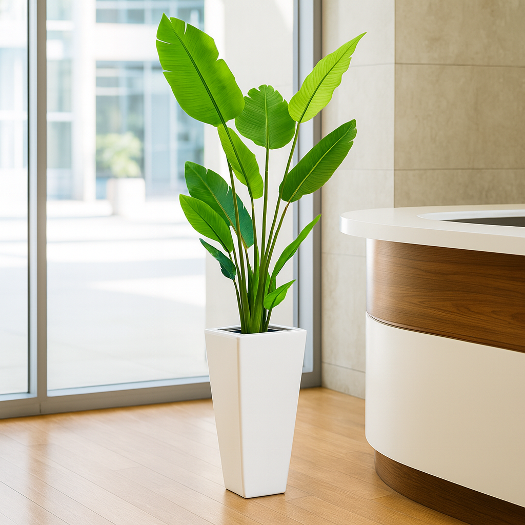 ストレリチア白陶器3