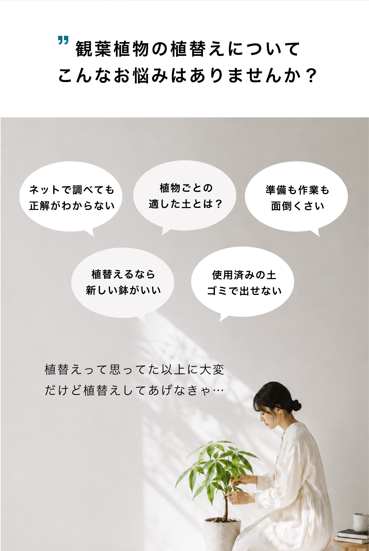 植替えって難しそう